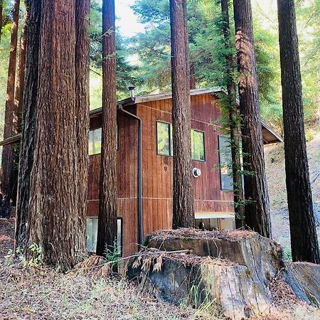 Ferienwohnung Little House In The Redwoods With A Hot Tub! Garberville Exterior foto