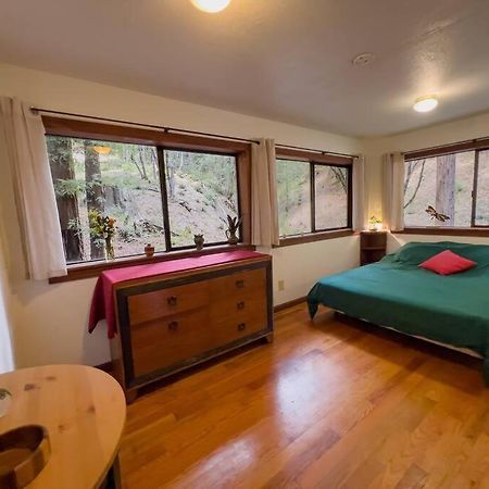 Ferienwohnung Little House In The Redwoods With A Hot Tub! Garberville Exterior foto