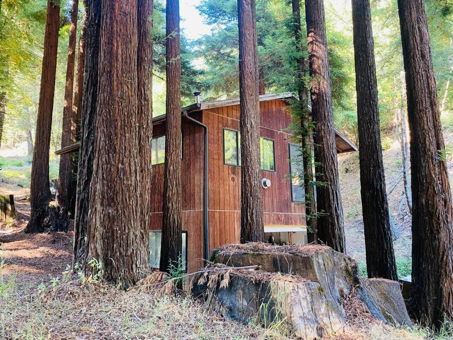 Ferienwohnung Little House In The Redwoods With A Hot Tub! Garberville Exterior foto