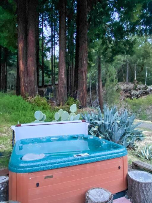 Ferienwohnung Little House In The Redwoods With A Hot Tub! Garberville Exterior foto